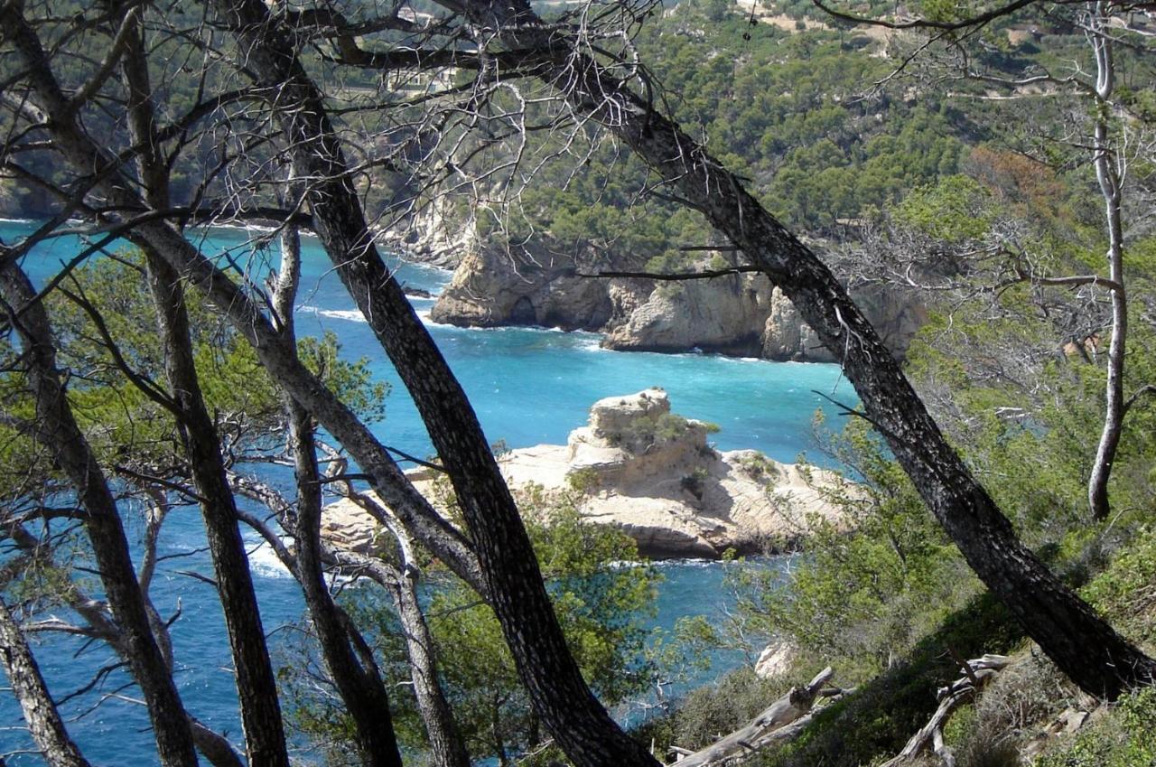 L Annexe 50M De La Plage Бандол Екстериор снимка
